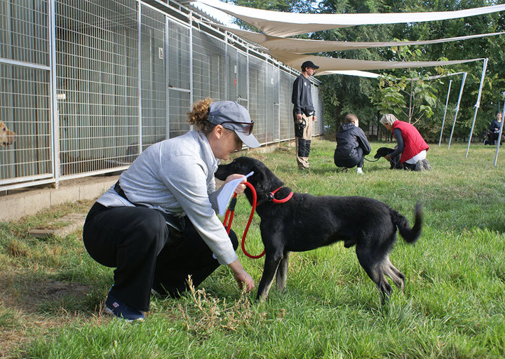 Kopie Von 25 10120133