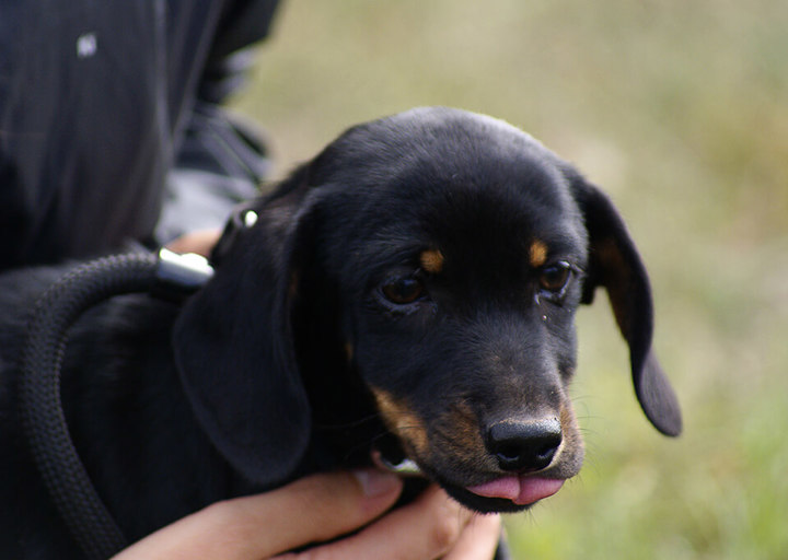 Kopie Von 25 10120340