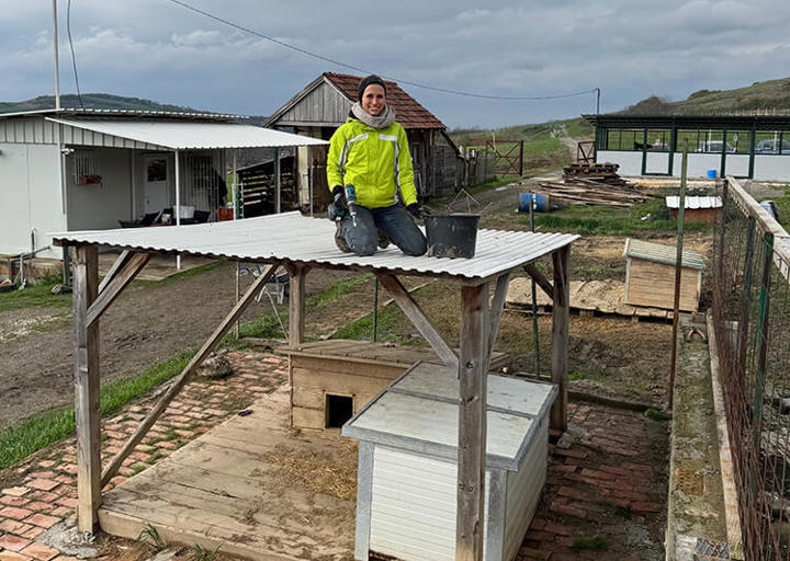 Aca Umbau Svilos 7 0425