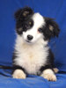 Finley 2 (1)