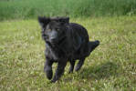 Ines 2 (1)