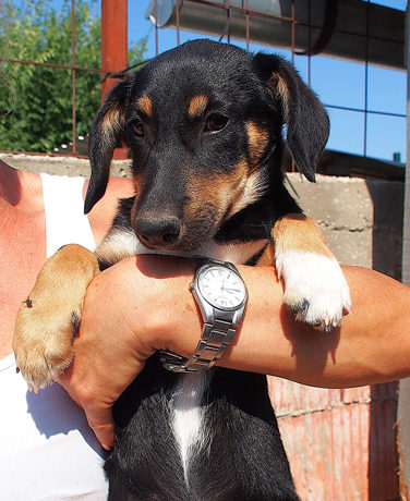 Maddy 1