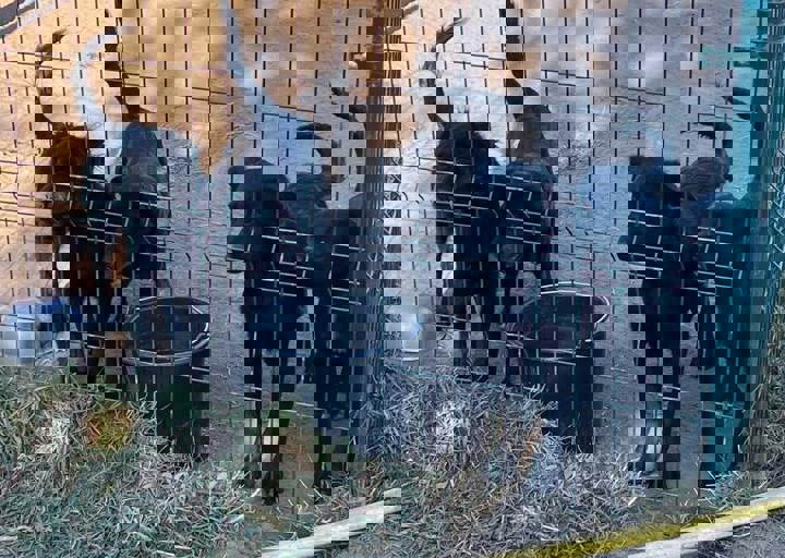 Aca Careday Okt 2025 65