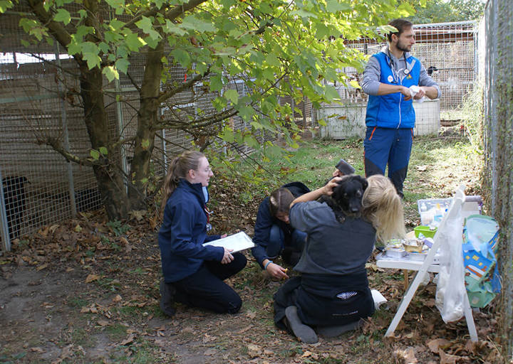 Kopie Von 25 10120241