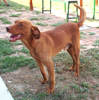 Romeo 3 (1)