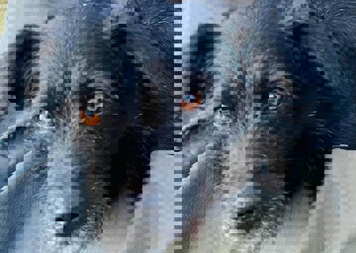 Aca Careday Okt 2025 06