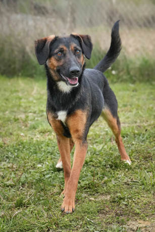Bessy 3 (1)