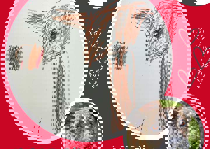 Aca Langsitzer Kids Okra