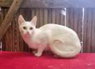 Wilma 2