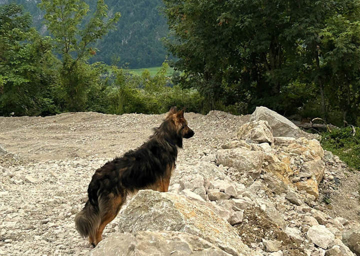 Cooper3