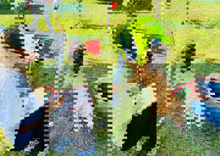 Aca Careday Sept 24 24