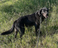 Xaver 2 (1)