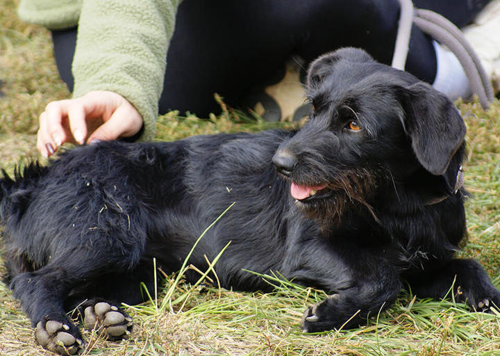 Kopie Von 25 10120317