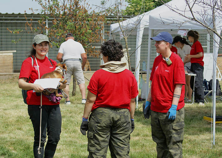 Aca Careday Mai 2026 Carol 26 05310157