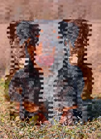 Brenda 4 (1)
