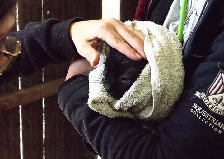 Kopie Von 25 10120235