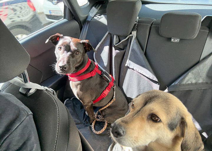 Agi2