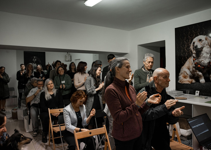 Charitydogphotoaward IMG 0173