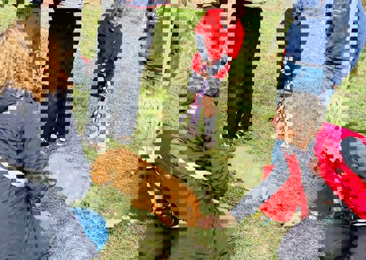 Aca Careday Okt 2025 19