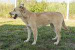 Lora 2 (2)