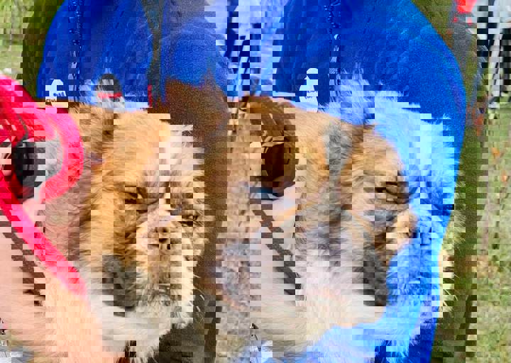 Aca Careday Okt 2025 44