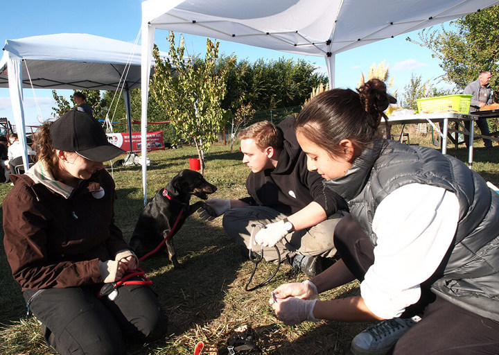 Kopie Von 25 10120629