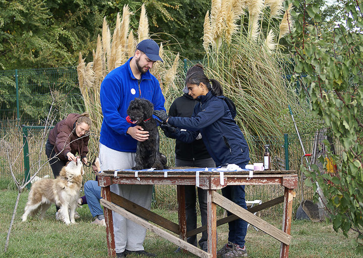 Kopie Von 25 10120182