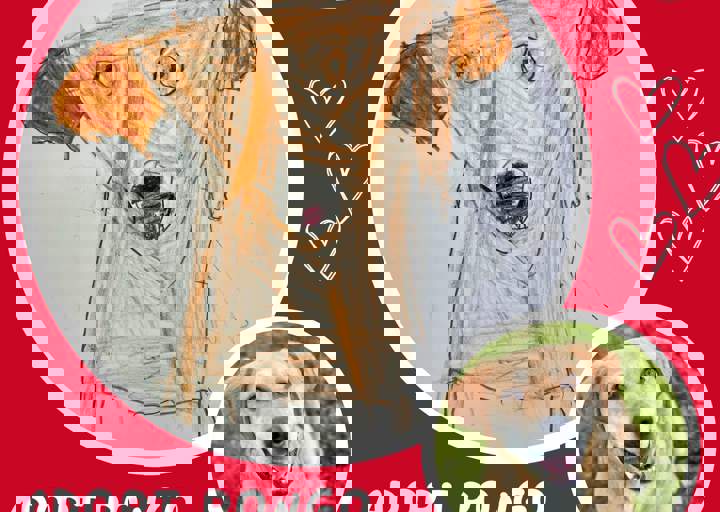 Aca Langsitzer Kids Pongo