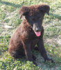 Susi 2 (4)