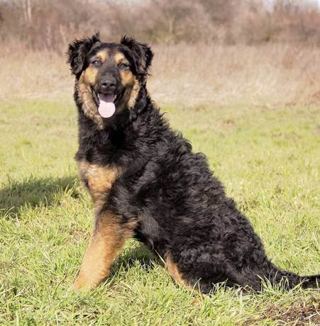 Layla 3 (2)