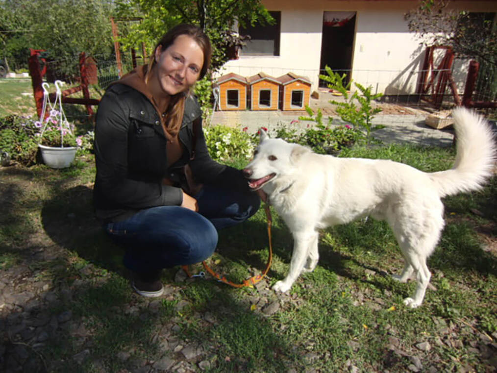 2012 Abholen Peron Lovasbereny