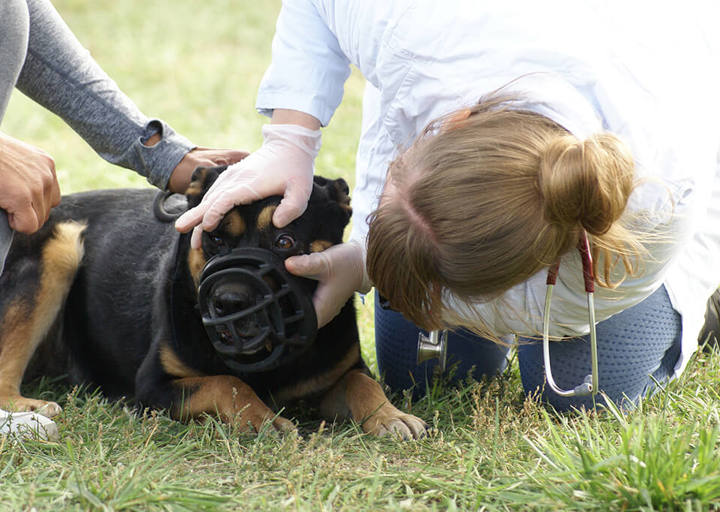 Kopie Von 25 10120185