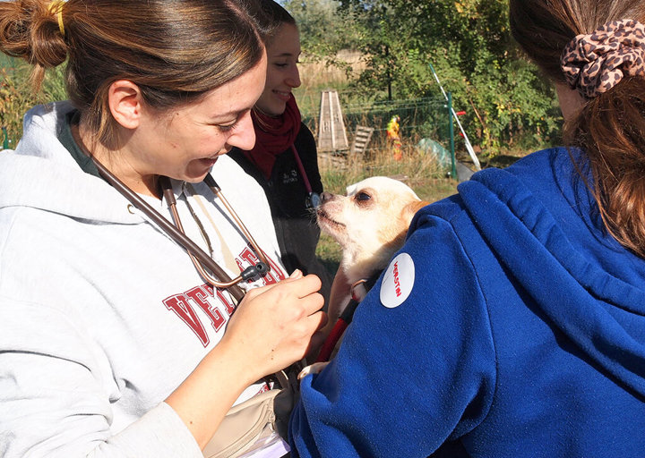 Kopie Von 25 10120585