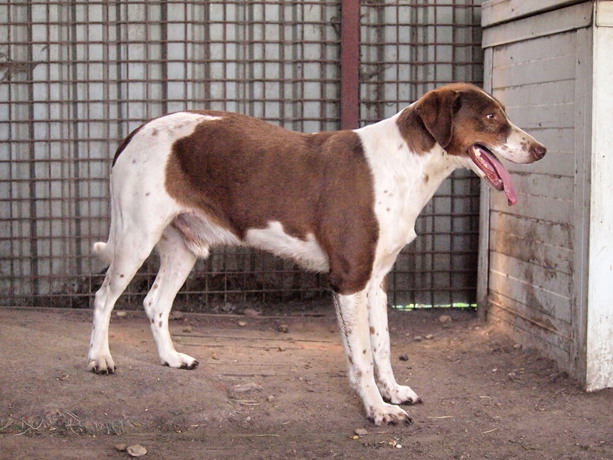 Colin 2 (1)