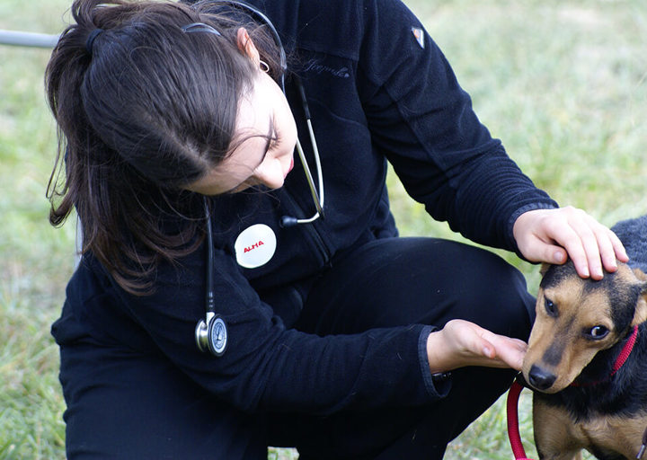 Kopie Von 25 10120470