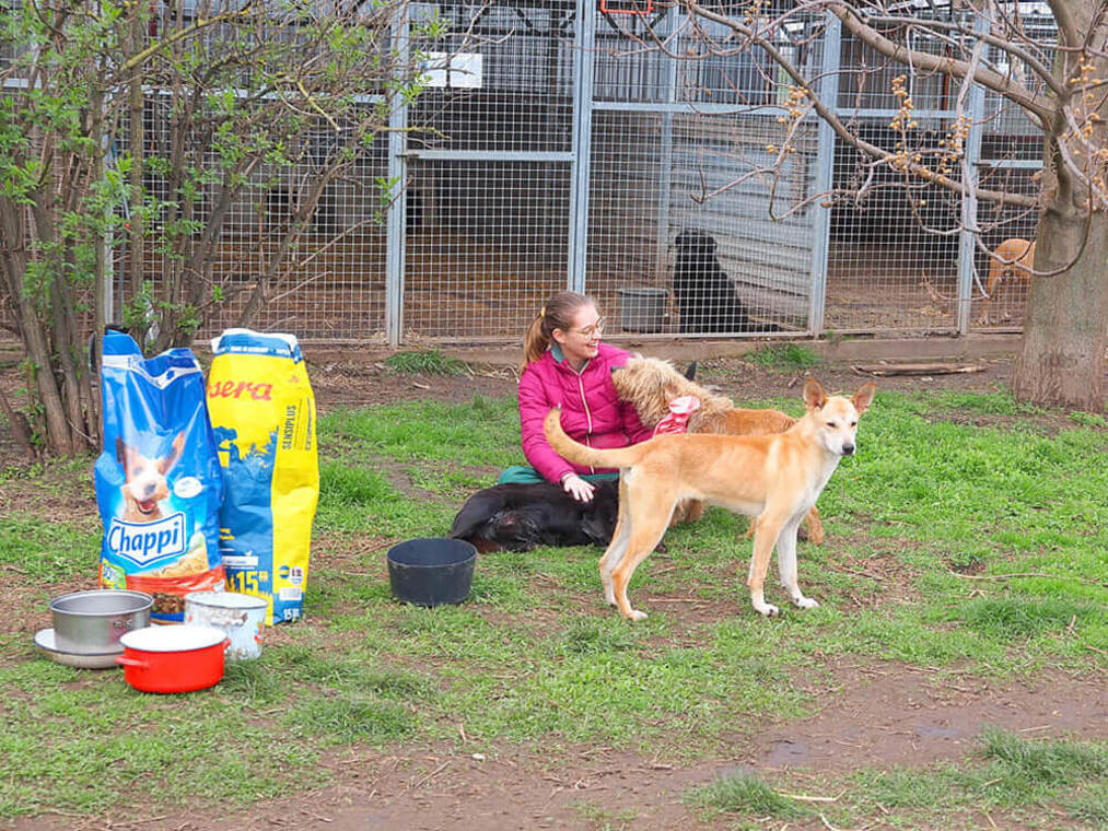 Aca Bericht 2024 Careday2