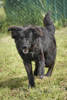 Ottilia 5