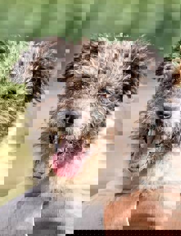 Debbie 1 (1)