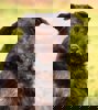 Jeremy4