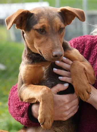 Edgar 2