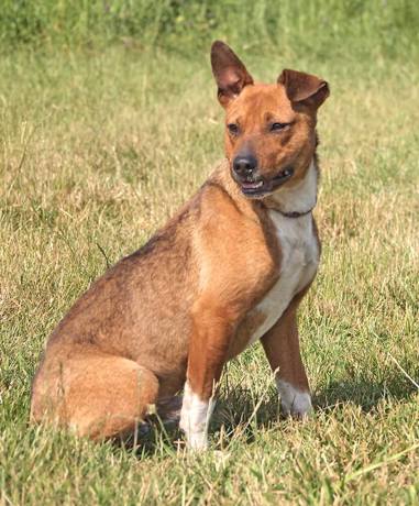 Marley 2 (1)