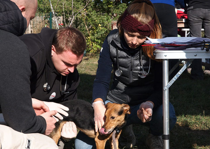 Kopie Von 25 10120547