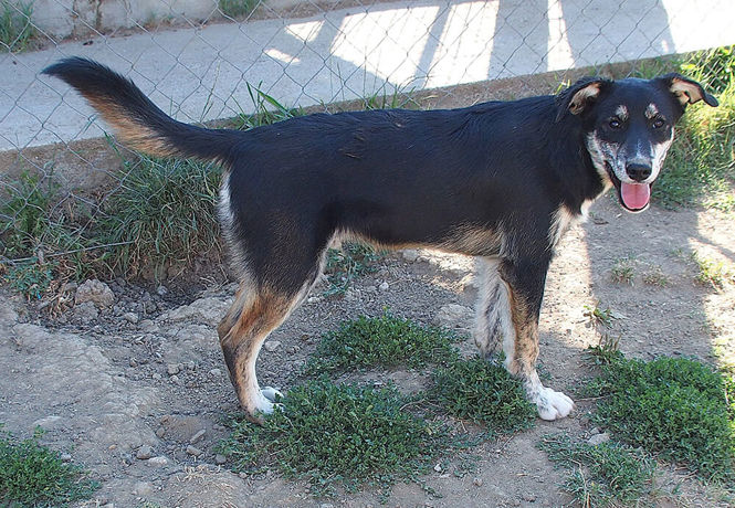 Monty 3