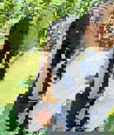 Ray 4