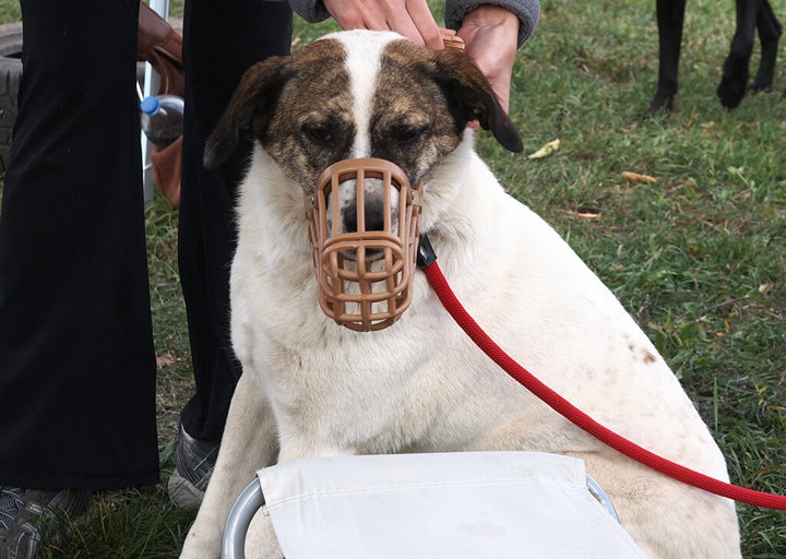 Kopie Von 25 10120423