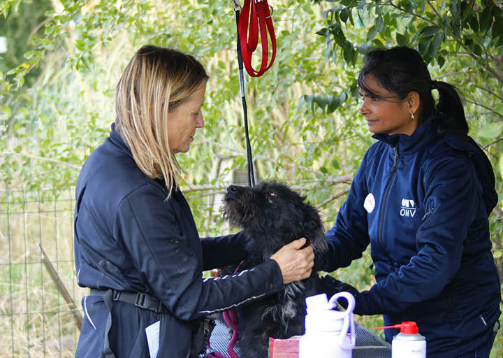 Kopie Von 25 10120443