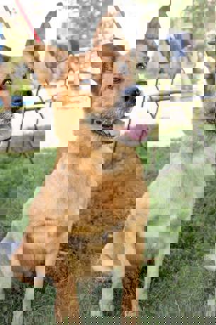 Odin 1
