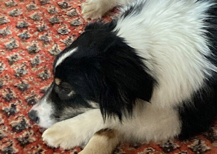Coco3