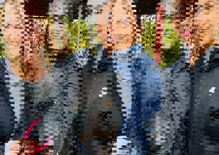 Aca Careday Okt 2025 30