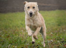 Coby 2